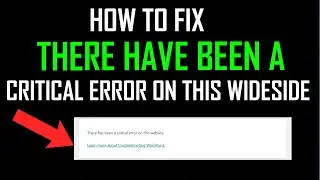 How to Fix there has been a critical error on this website