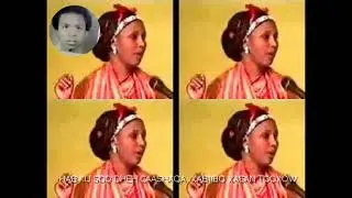 XABIIBO XASAN TOOXOW & CABDULQAADIR MAXAMED IBRAAHIM. HAB KU SOO DHEH CAASHAQA