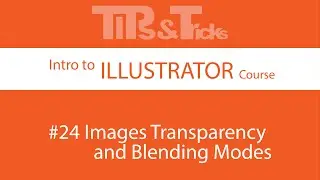 #24   Image Transparency and Blending Modes | Intro to ILLUSTRATOR Course