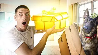 🎁Ouverture de Colis Mystère avec Seven ! 🐶 | Spécial Monde Canin🎁