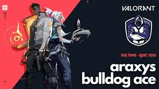 Valorant Araxys Bulldog Ace on Haven