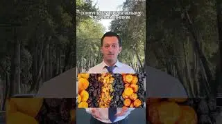 Бизнес-возможности Таджикистана, выпуск #1. Подробности в комментарии
