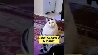 Не хочешь мучаться с налоговой? Найми бухгалтера на аутсорсинг. Номер в комментариях 😉