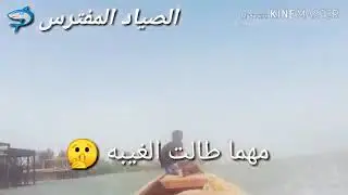 سباق الزوارق في شط العرب