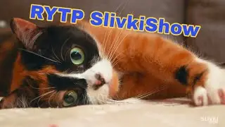 Мистер кукец [RYTP SlivkiShow]