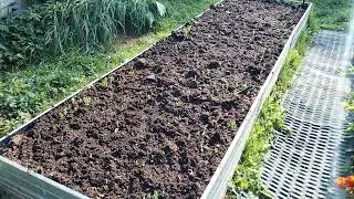Чеснок🧄!будет отличный урожай 👍мой вариант подготовки грядки продолжение)