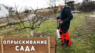 Опрыскивание деревьев весной своими руками. Железный купорос - применение в саду