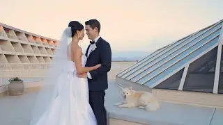 The Wedding Film of Dan + Diana w/ their awesome dog Hippo - Phoenician Resort in Scottsdale, AZ