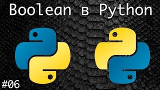 Boolean в Python | Базовый курс. Программирование на Python