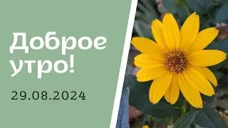 Доброе утро! 29.08.2024