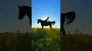Провожаем закаты 😍 #конныйблог #horse #конныйтуризм #equestrian #конныепрогулки #лошади #можайск