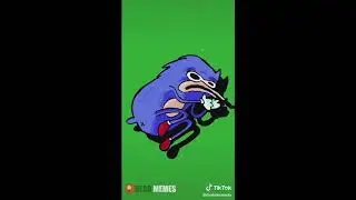 My Names Sonic By tootymcnooty [TIKTOK]