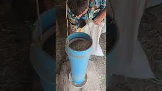 Filling Chicken Feed