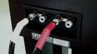Tannoy Revolution DC6