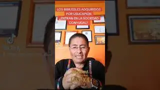 LOS INMUEBLES ADQUIRIDOS POR USUCAPIÓN ¿PUEDEN FORMAR PARTE DE LA SOCIEDAD CONYUGAL?
