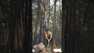 Мужское спокойствие 💆🏻‍♂️