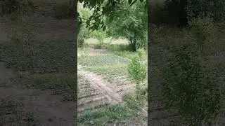табиати зебои камароб!