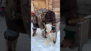 Что делать если вы зимой в лесу и вам захотелось в туалет 
