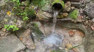 Родник, леса, поля и водопад возле Кислино. Август 2020.