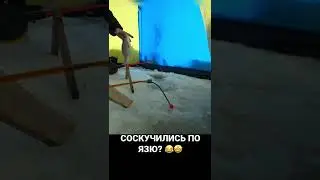 СОСКУЧИЛИСЬ ПО ЯЗЮ? 😂 #рыбалка #река #поклевка #тайга #зима #подсечка #лунка #язь #здоровенныйязь