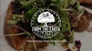 Promotion for From the Earth