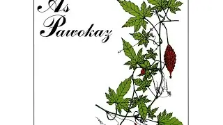 As Pawokaz - As Pawokaz (Full Album) 720p
