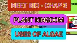 ALGAE | ECONOMIC IMPORTANCE | MODULE 5 | NEET BIOLOGY | CHAP 3 | PLANT KINGDOM