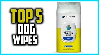 ✅Top 5 Best Dog Wipes in 2024