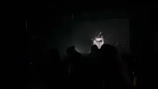 Acid Hooliganism