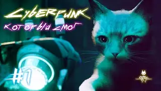 #1 CYBERPUNK, КОТОРЫЙ СМОГ | STRAY ПРОХОЖДЕНИЕ