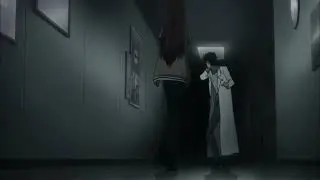 Steins;Gate