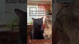 #егэ