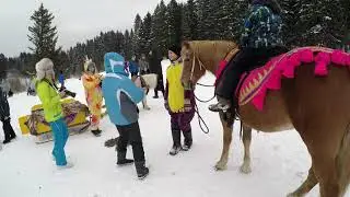 Новогодние праздники 2019-2020. Лыжная база динамо. Пермь. Хаски.