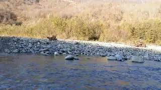 Переехать горную реку в брод