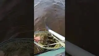 Открытие лодочного сезона 1 мая