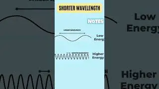 The Electromagnetic Spectrum | Visible Lights, Radio Waves and X-rays