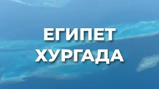ЕГИПЕТ | ЛЕТО ЗИМОЙ | ГДЕ ОСТАВИТЬ ВСЕ ДЕНЬГИ | А НА ЧЕМ МОЖНО СЭКОНОМИТЬ |