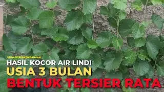 Update Pemakaian Air Lindi Setelah Tiga Bulan