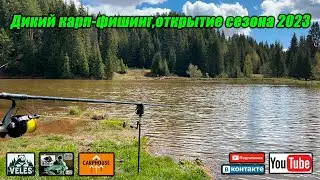 Дикий кап фишинг ,открытие сезона 2023.