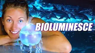 What If You Could Grow Bioluminescent Ocean Life at Home?