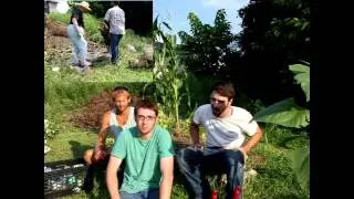 Urban Community Garden: Newark, NJ