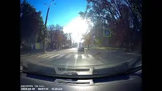 Іноді собаки розумніші за людину / Sometimes dogs are smarter than humans