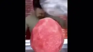 Shitpost Status