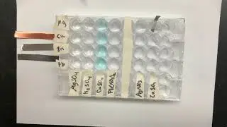 The Activity Series of Metals