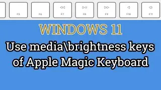 Windows 11 - Use Media/Brightness Keys of Apple Magic Keyboard