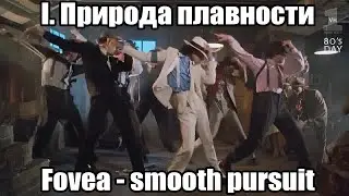 The Nature of Smoothness I: Fovea and Smooth Pursuit | ORVV 3