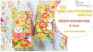 Коробочки для сладкого подарка. СП 