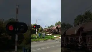 10 жовтня 2022 р.(1)