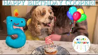 COOPERS 5TH BIRTHDAY | Lydia Black