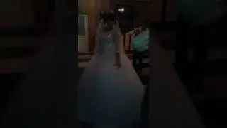 Жених танцует лезгинку))